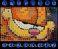 Garfield Special Collection
