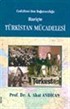 Cedidizm'den Bağımsızlığa Hariçte Türkistan Mücadelesi