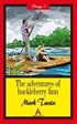 The Adventures Of Huckleberry Finn - Stage 1