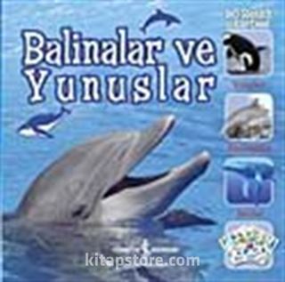 Balinalar ve Yunuslar