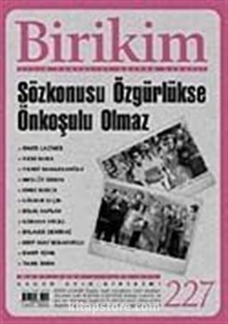 Birikim / Sayı: 227 Yıl: 2008 / Aylık Sosyalist Kültür Dergisi