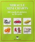 Miracle Mini Charts 505 Words In 20 Cards