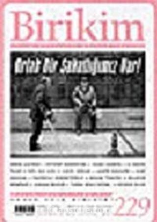 Birikim / Sayı: 229 Yıl: 2008 / Aylık Sosyalist Kültür Dergisi
