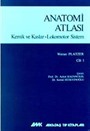 Anatomi Atlası Kemik ve Kaslar - Lokomotor Sistem Cilt: 1