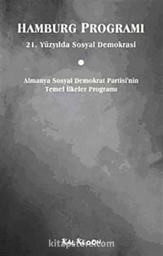 Hamburg Programı