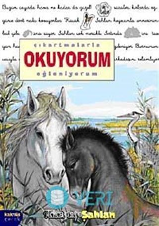 Şahlan / Çıkartmalarla Okuyorum Eğleniyorum