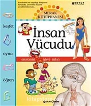 İnsan Vücudu