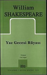 Yaz Gecesi Rüyası