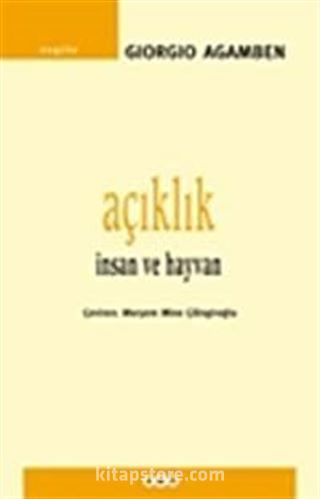 Açıklık