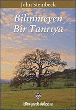 Bilinmeyen Bir Tanrıya