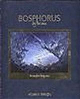 Bosphorus By The Sea / Denizden Boğaziçi