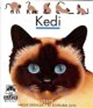 Kedi / İlk Kitaplarım Dizisi
