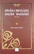Divan-ı Mevlana Halidi Bağdadi (Tam Metin)