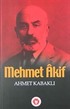 Mehmet Akif