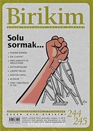 Birikim / Sayı:244-245 Yıl: 2009 / Aylık Sosyalist Kültür Dergisi