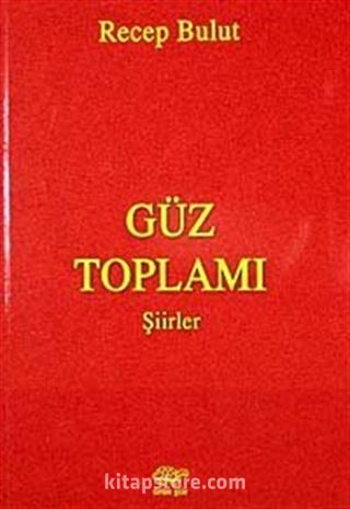 Güz Toplamı Şiirler