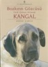 Bozkırın Gözcüsü Türk Çoban Köpeği Kangal