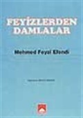 Feyizlerden Damlalar/ Mehmed Feyzi Efendi