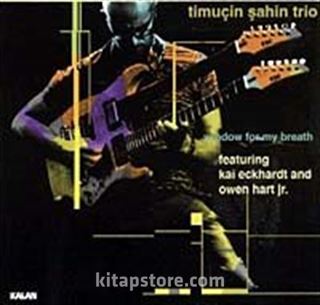 Timucin Şahin Trio