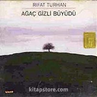 Ağaç Gizli Büyüdü