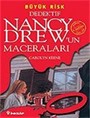 Büyük Risk / Dedektif Nancy Drew'un Maceraları