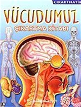 Vücudumuz / Çıkartmatik