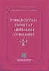 Türk Dünyası Edebiyat Metinleri Antolojisi (8. cilt)