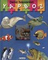 Deniz Hayvanları-Minik YapBoz Kitabım