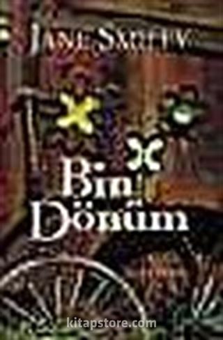 Bin Dönüm