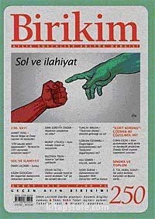 Birikim / Sayı:250 Yıl: 2010 / Aylık Sosyalist Kültür Dergisi