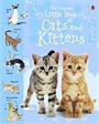 Little Book of Cats and Kitten