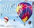 Seyahat Balonu - Hot Air Balloon (00-05523)