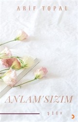 Anlamsızım