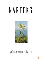 Narteks