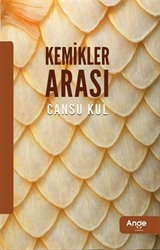 Kemikler Arası