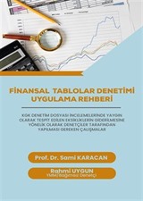 Finansal Tablolar Denetimi Uygulama Rehberi