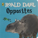 Roald Dahl: Opposites