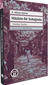 Mazinin Bir Sokağında