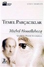 Temel Parçacıklar