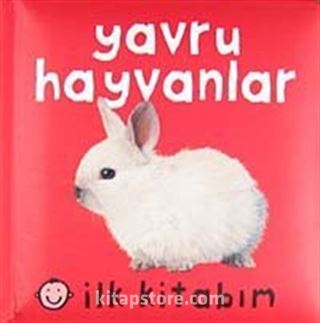 İlk Kitabım / Yavru Hayvanlar