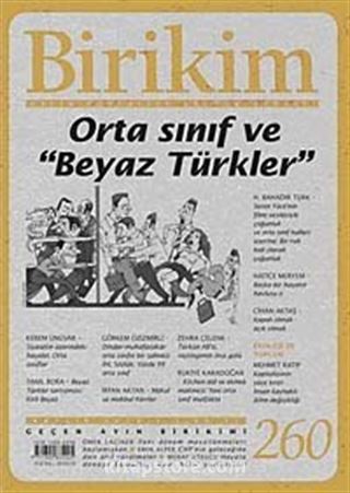 Birikim / Sayı:260 Yıl: 2010 / Aylık Sosyalist Kültür Dergisi