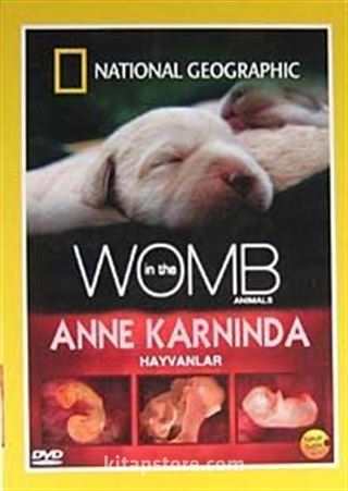 Anne Karnında Hayvanlar (DVD)