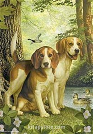 Av Köpekleri 500 Parça (33x48-Kod:3528)