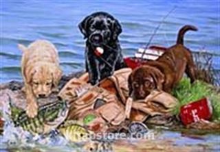 3 Küçük Balıkçı 260 Parça (33x48-Kod:3262)