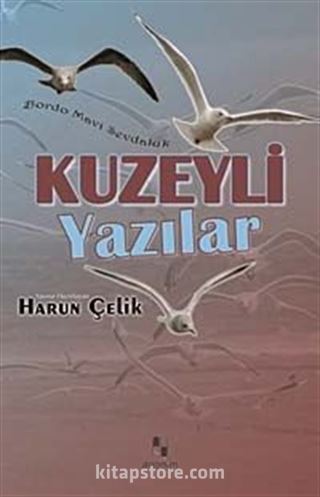 Kuzeyli Yazılar