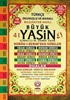 Büyük 41 Yasin / Hafız Boy (Kod:12)