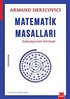 Matematik Masalları