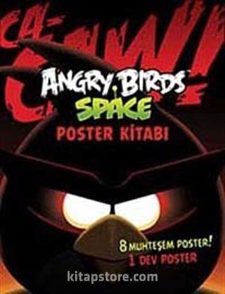 Angry Birds Space Poster Kitabı