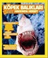 National Geographic Kids -Köpek Balıkları Hakkında Herşey