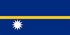 Nauru Bayrağı (20x30)